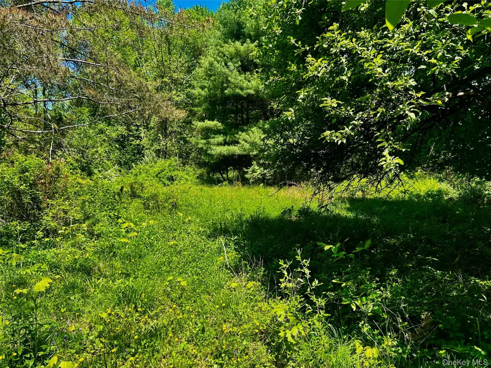 73 North Creek Road Staatsburg, NY 12580