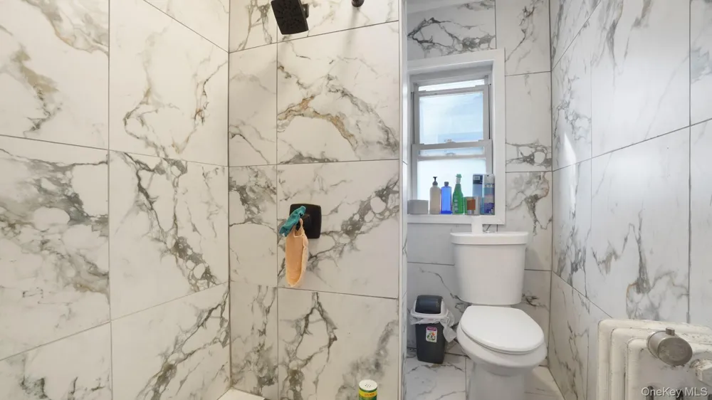 11133 173rd Street Jamaica, NY 11433
