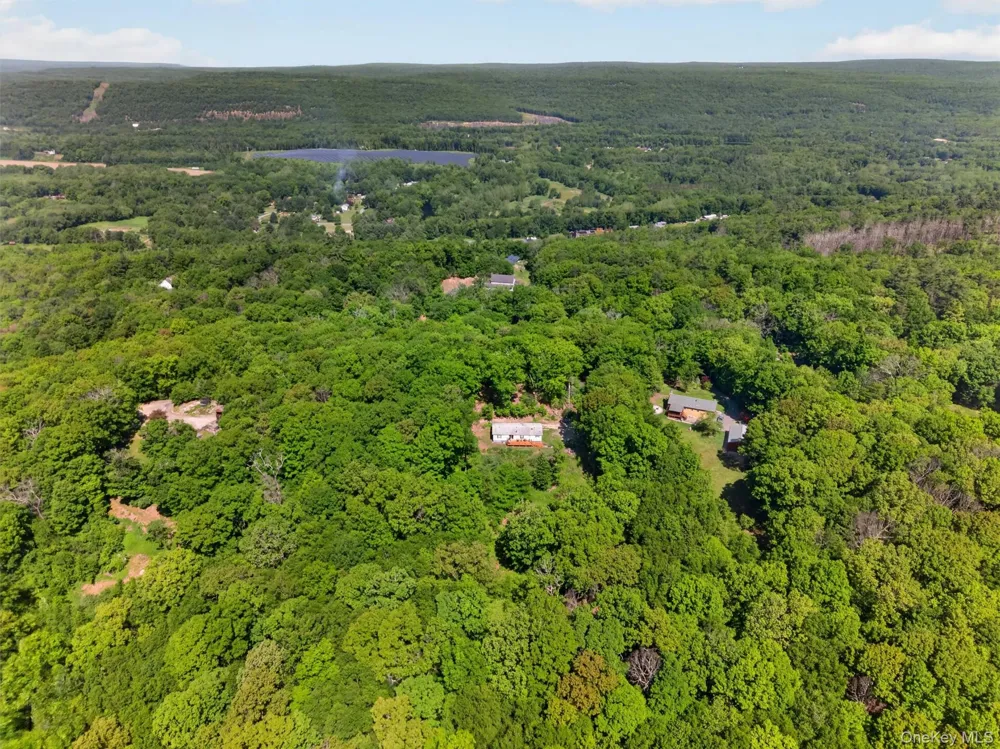 62 Shin Hollow Road Port Jervis, NY 12771