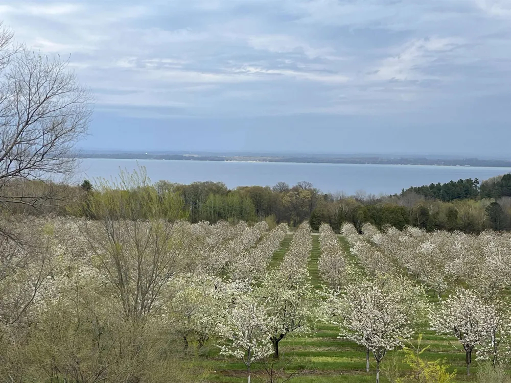 12586 Center Drive Peninsula Township, MI 49686