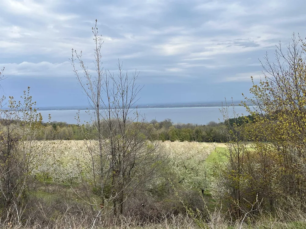 12586 Center Drive Peninsula Township, MI 49686