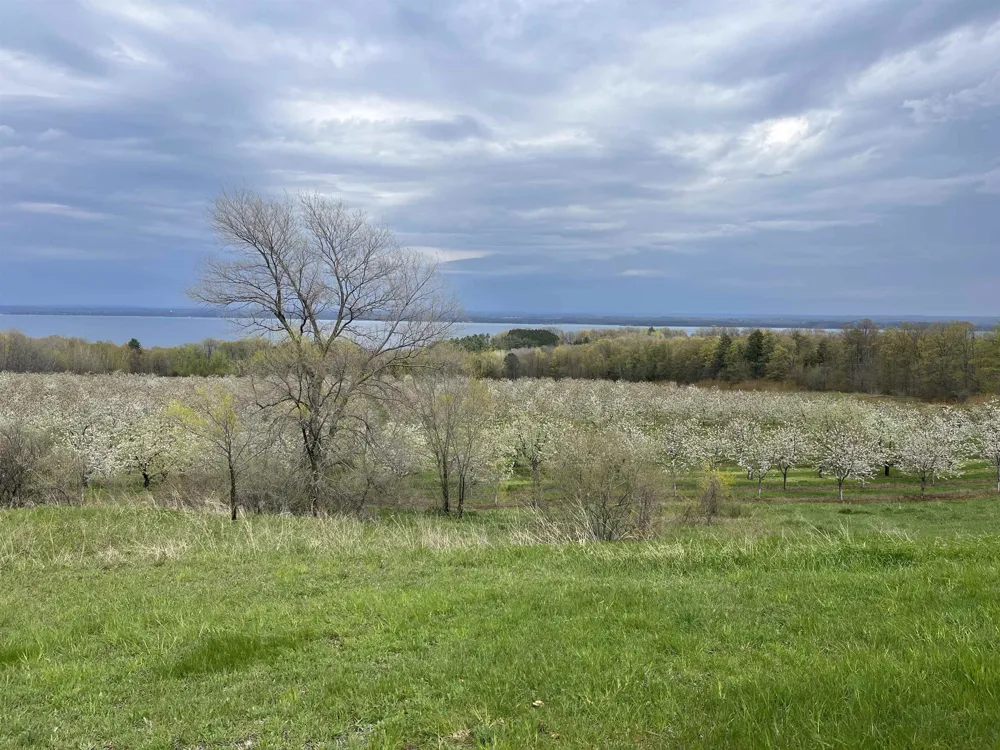 12586 Center Drive Peninsula Township, MI 49686
