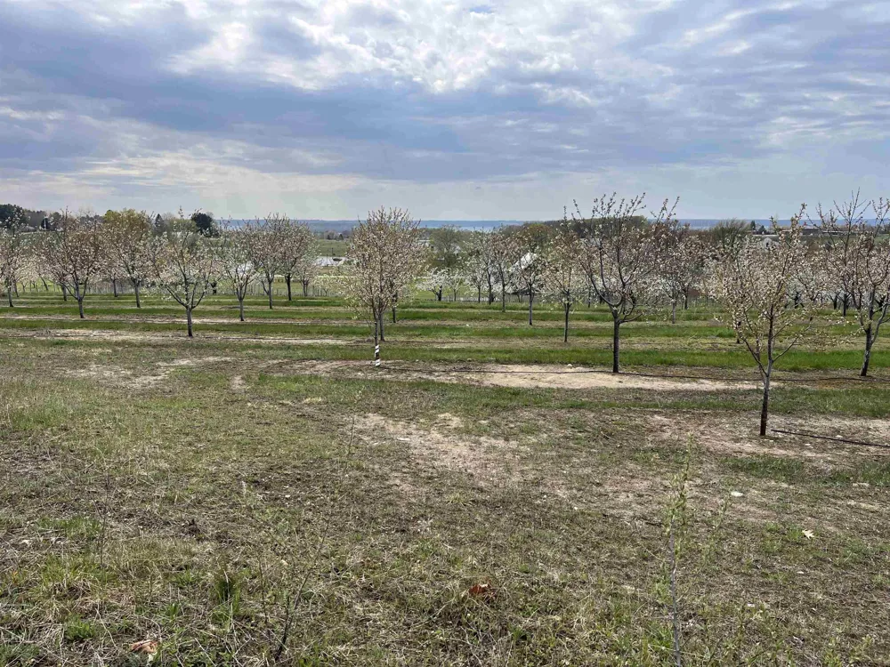 12586 Center Drive Peninsula Township, MI 49686