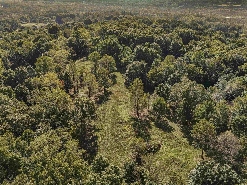Carlson Road Crystal Lake Township, MI 49635