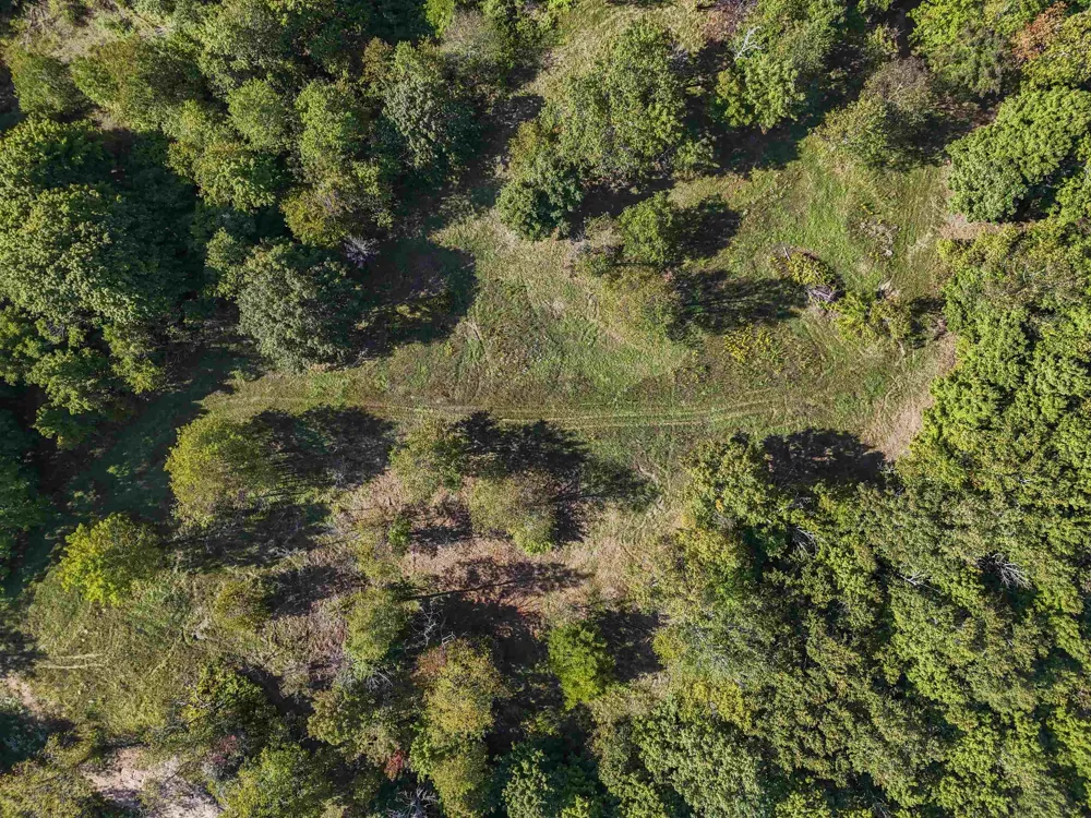 Carlson Road Crystal Lake Township, MI 49635