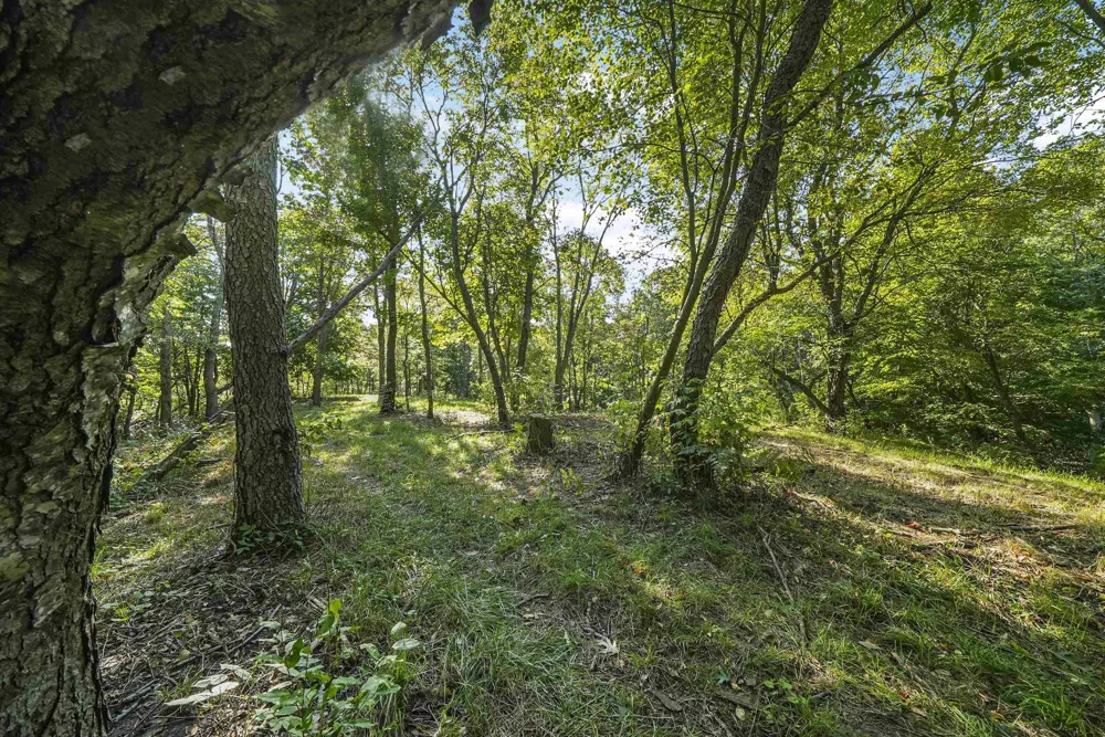 Carlson Road Crystal Lake Township, MI 49635