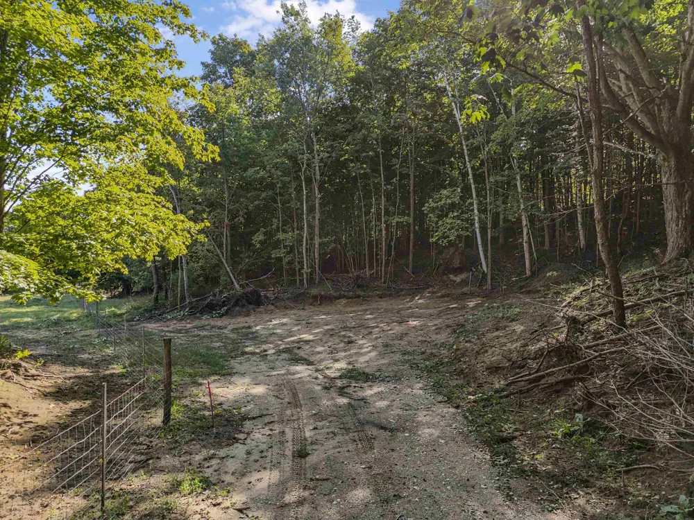 Carlson Road Crystal Lake Township, MI 49635