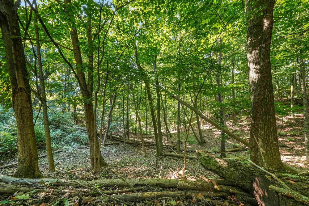 Carlson Road Crystal Lake Township, MI 49635
