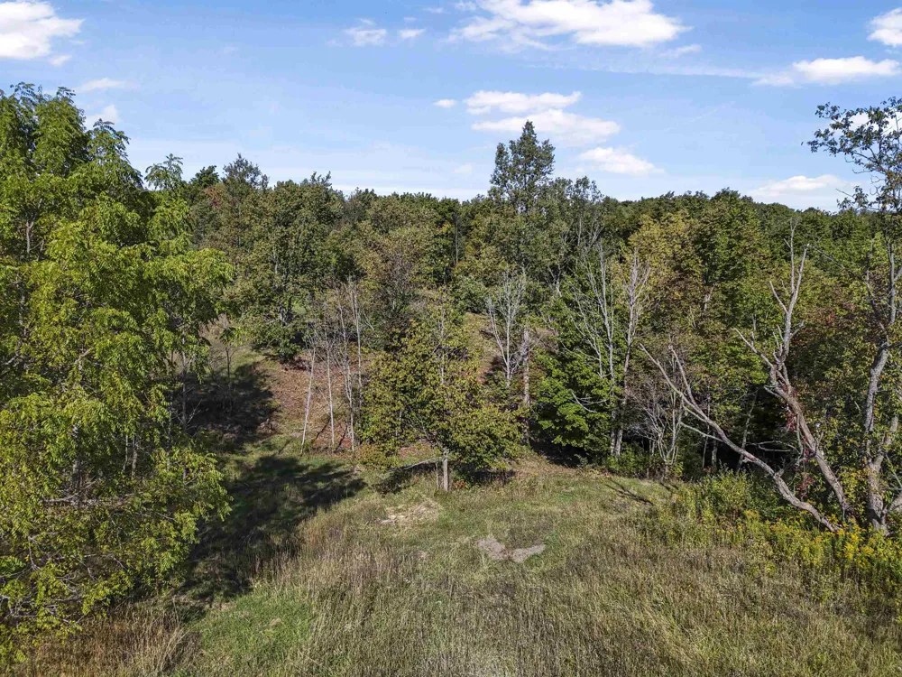 Carlson Road Crystal Lake Township, MI 49635