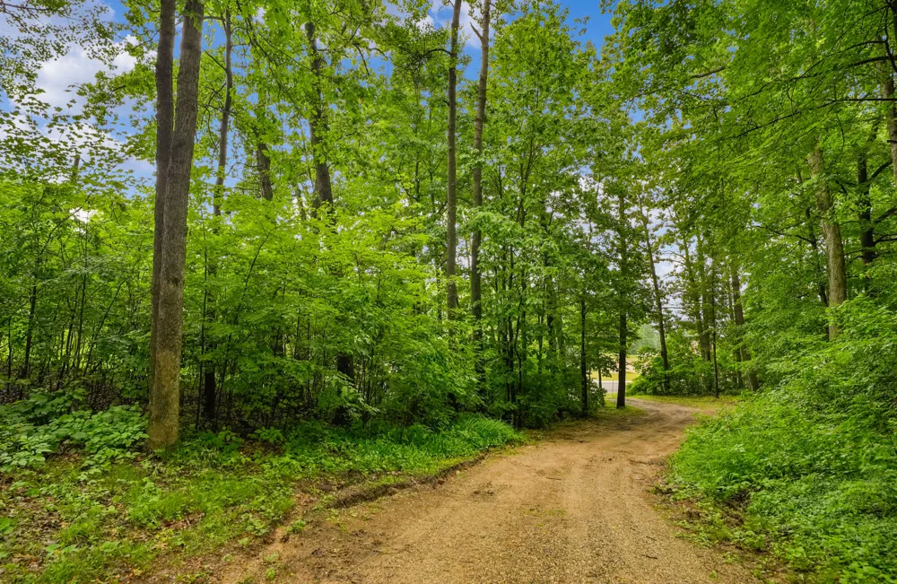 21537 W Kendaville Road Montcalm Township, MI 49339
