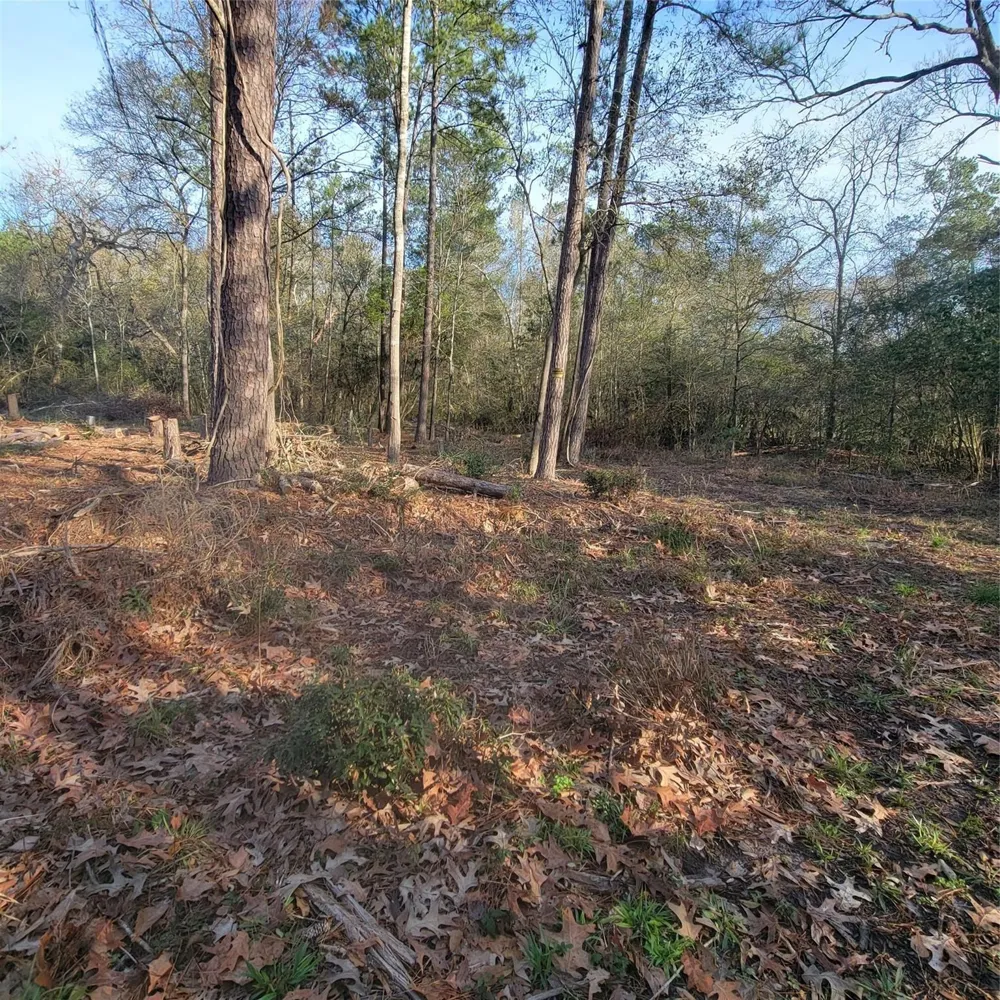 Fenham Lane Humble, TX 77338
