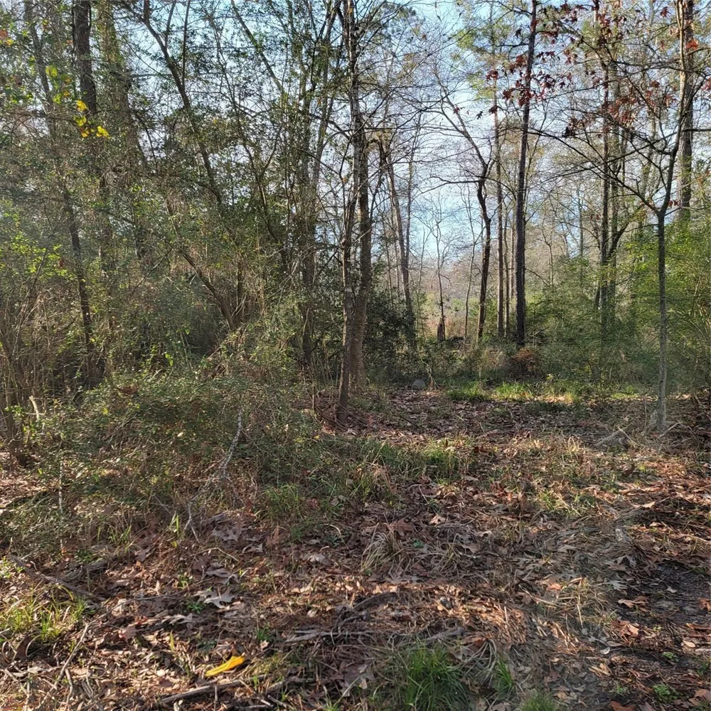 Fenham Lane Humble, TX 77338