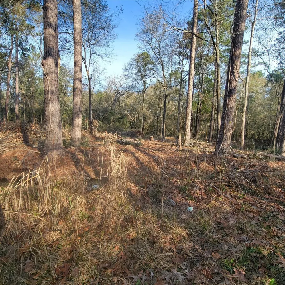 Fenham Lane Humble, TX 77338