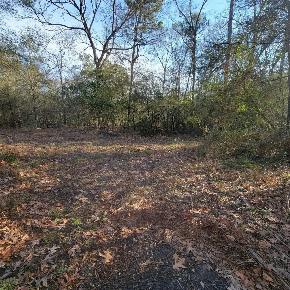 Fenham Lane Humble, TX 77338