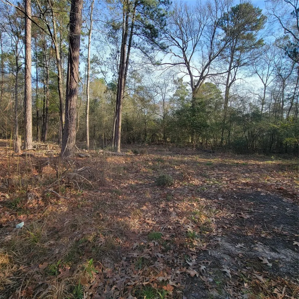 Fenham Lane Humble, TX 77338