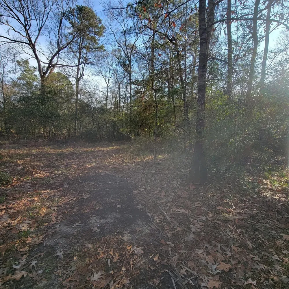Fenham Lane Humble, TX 77338