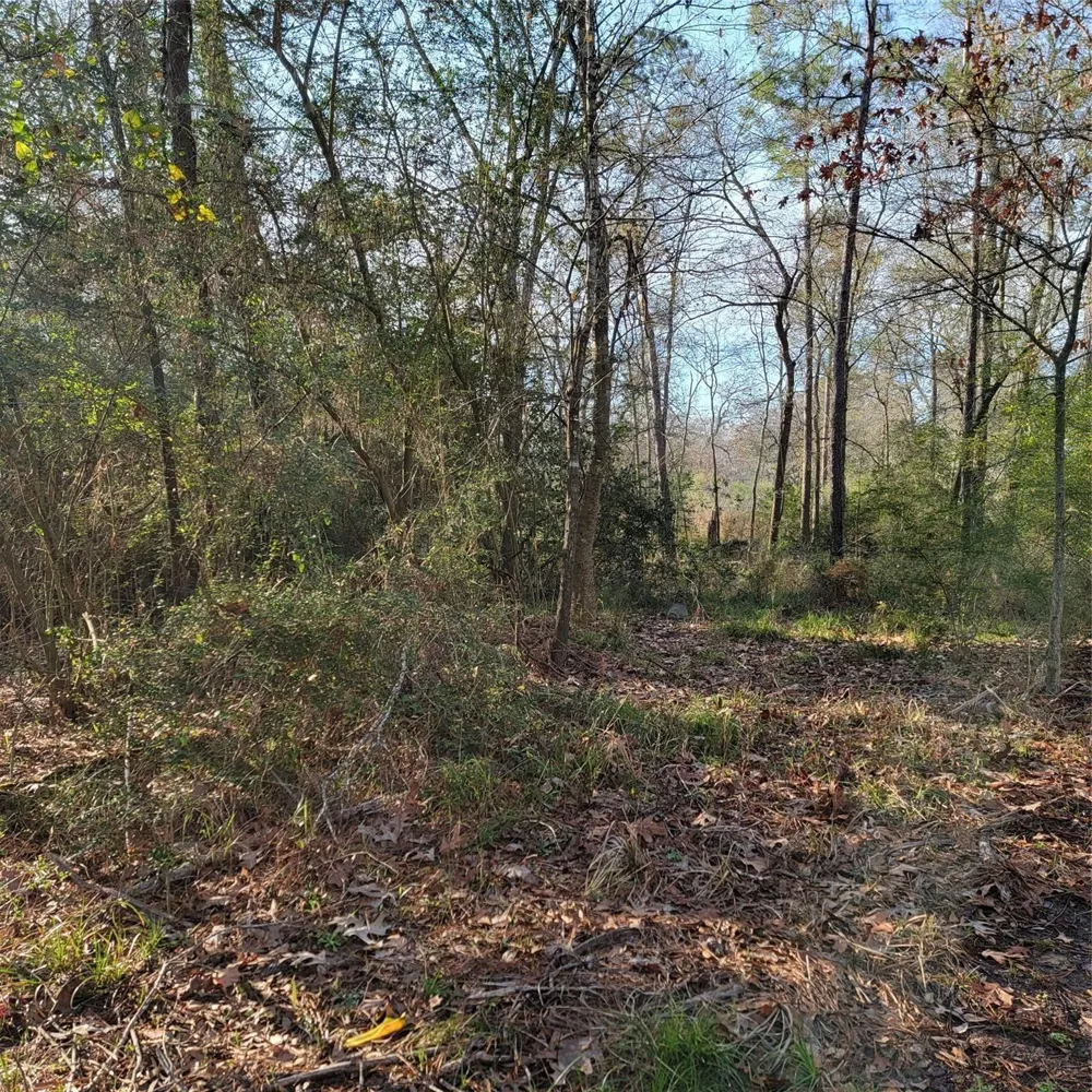 Fenham Lane Humble, TX 77338