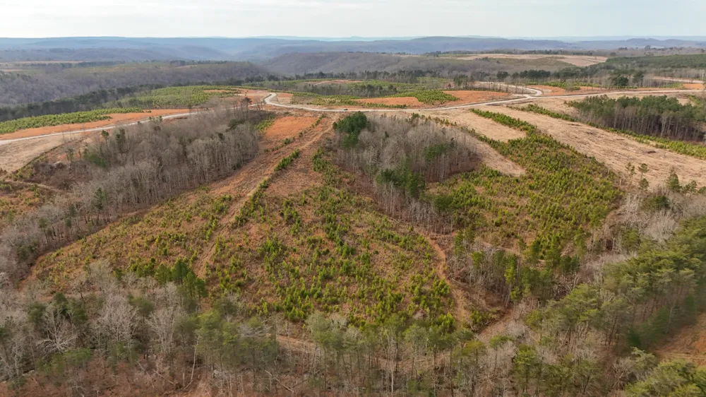 0 State Rt 399 Dunlap, TN 37327