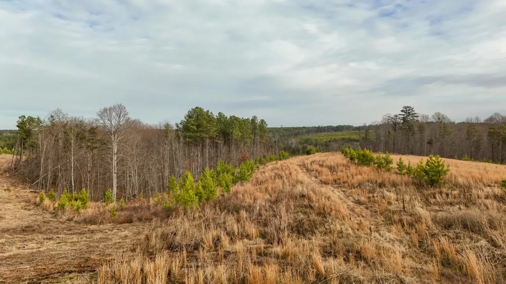 0 State Rt 399 Dunlap, TN 37327