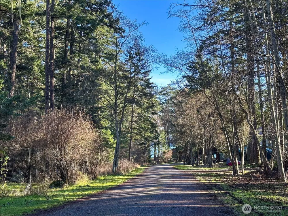 206 Island Drive Friday Harbor, WA 98250