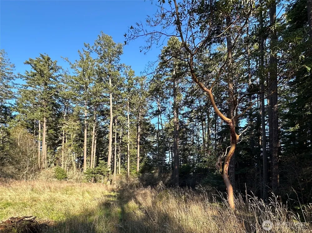 206 Island Drive Friday Harbor, WA 98250