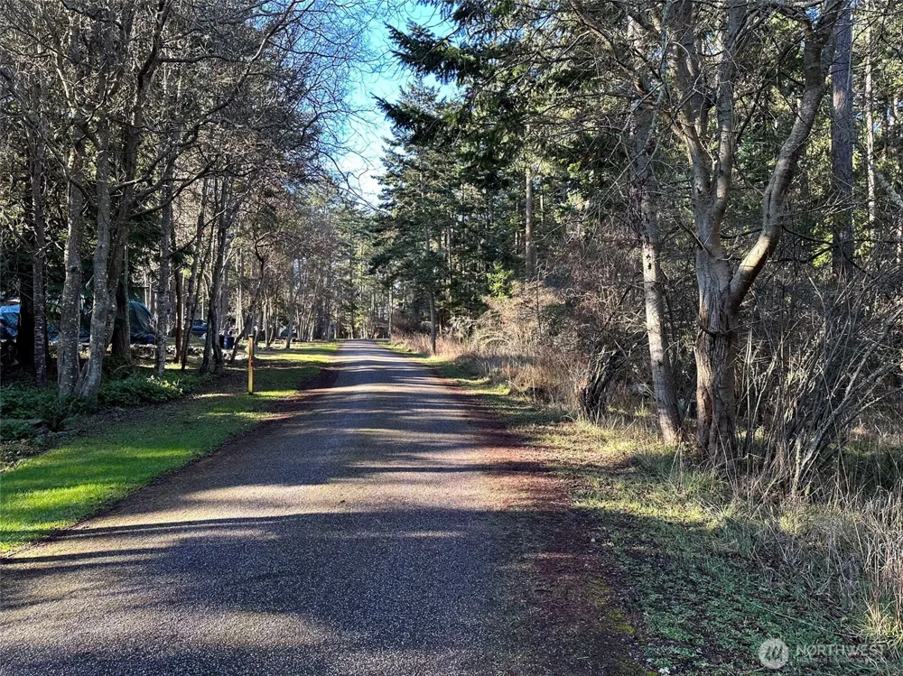 206 Island Drive Friday Harbor, WA 98250