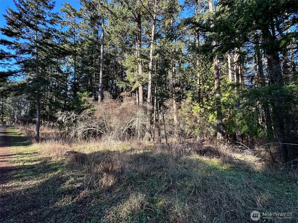 206 Island Drive Friday Harbor, WA 98250