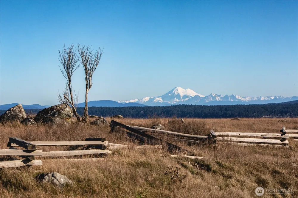 206 Island Drive Friday Harbor, WA 98250