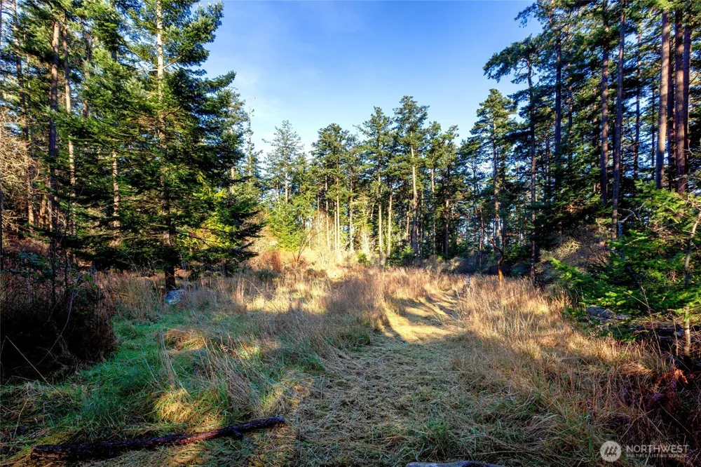 206 Island Drive Friday Harbor, WA 98250
