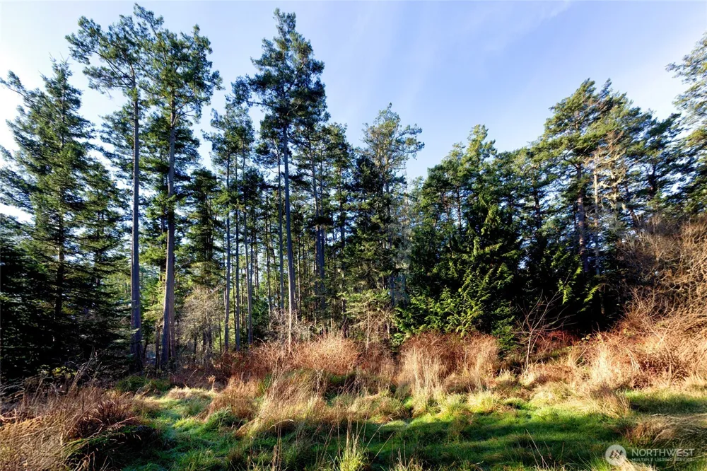 206 Island Drive Friday Harbor, WA 98250