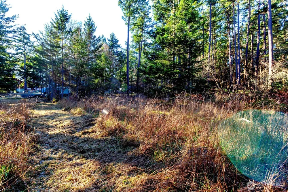 206 Island Drive Friday Harbor, WA 98250