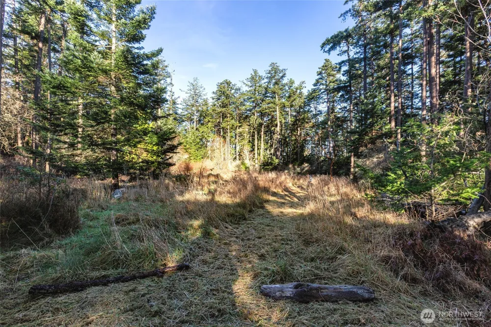 206 Island Drive Friday Harbor, WA 98250