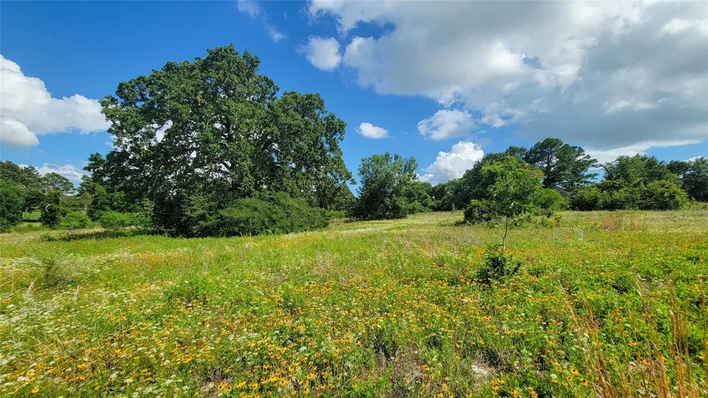 3133 Rolling Ridge Lane Brenham, TX 77833