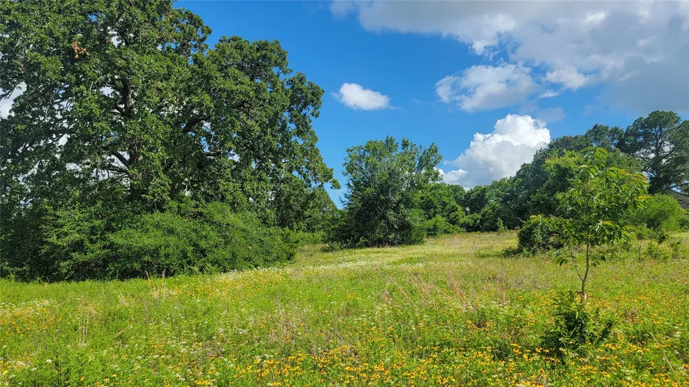 3133 Rolling Ridge Lane Brenham, TX 77833
