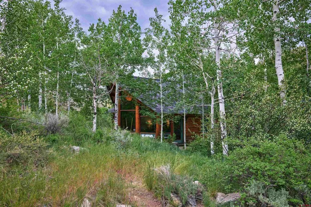 1641 County Road 771 Ohio City, CO 81237