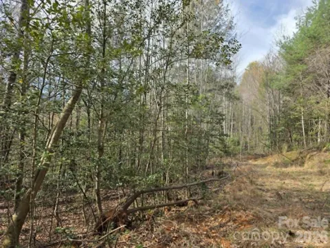 Lot 5 Kerlee Lane