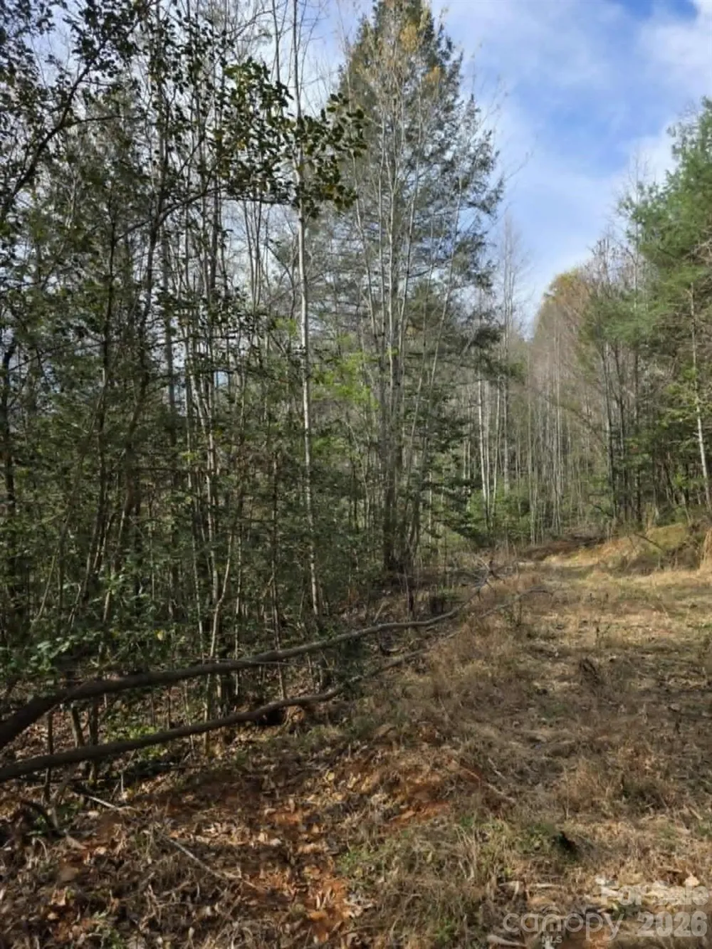Lot 5 Kerlee Lane Old Fort, NC 28762