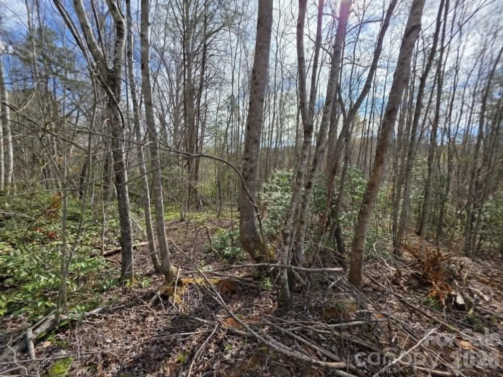 Lot 5 Kerlee Lane Old Fort, NC 28762