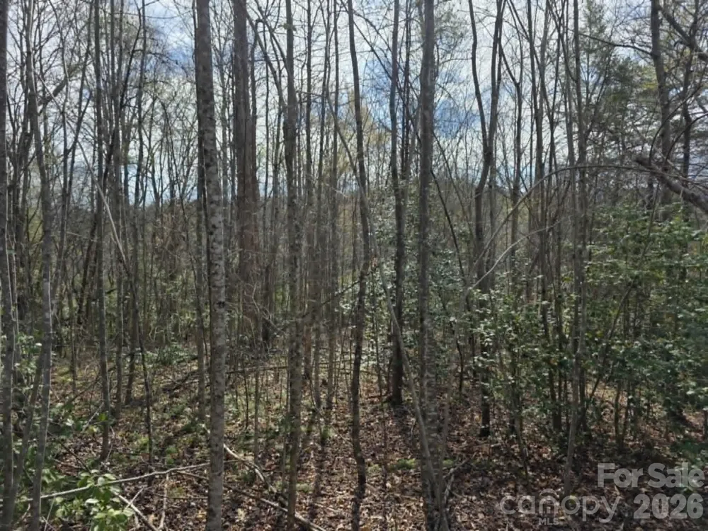 Lot 5 Kerlee Lane Old Fort, NC 28762
