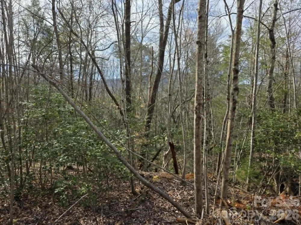 Lot 5 Kerlee Lane Old Fort, NC 28762