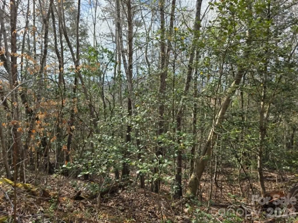 Lot 5 Kerlee Lane Old Fort, NC 28762