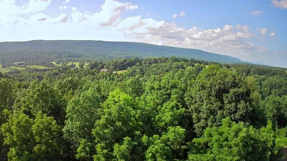 Ashley Lane Dayton, TN 37321