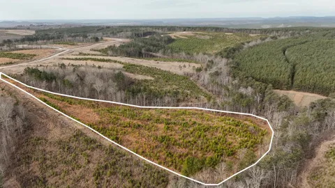 State Rt 399 Lot 13