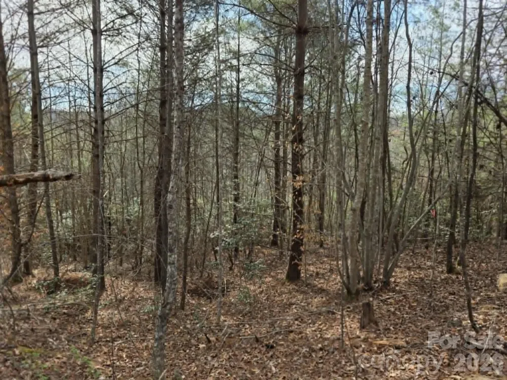Lot 4 Kerlee Lane Old Fort, NC 28762