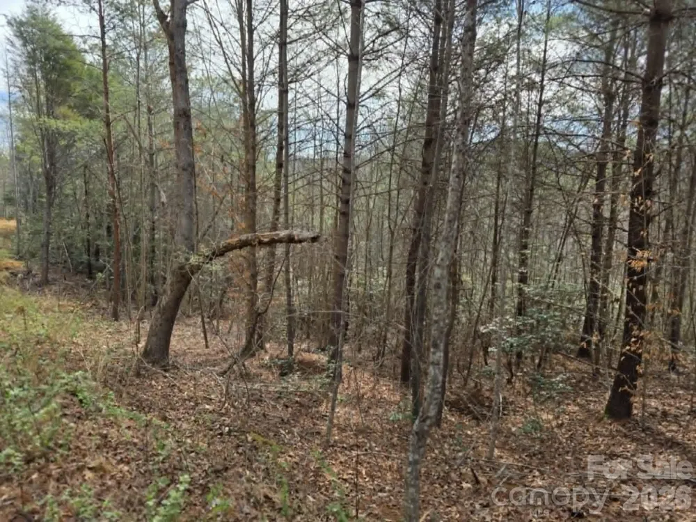 Lot 4 Kerlee Lane Old Fort, NC 28762