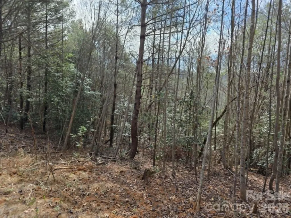 Lot 4 Kerlee Lane Old Fort, NC 28762