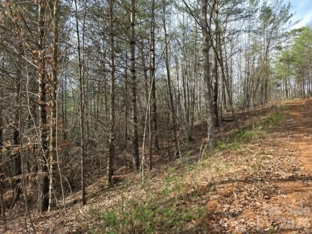 Lot 4 Kerlee Lane Old Fort, NC 28762