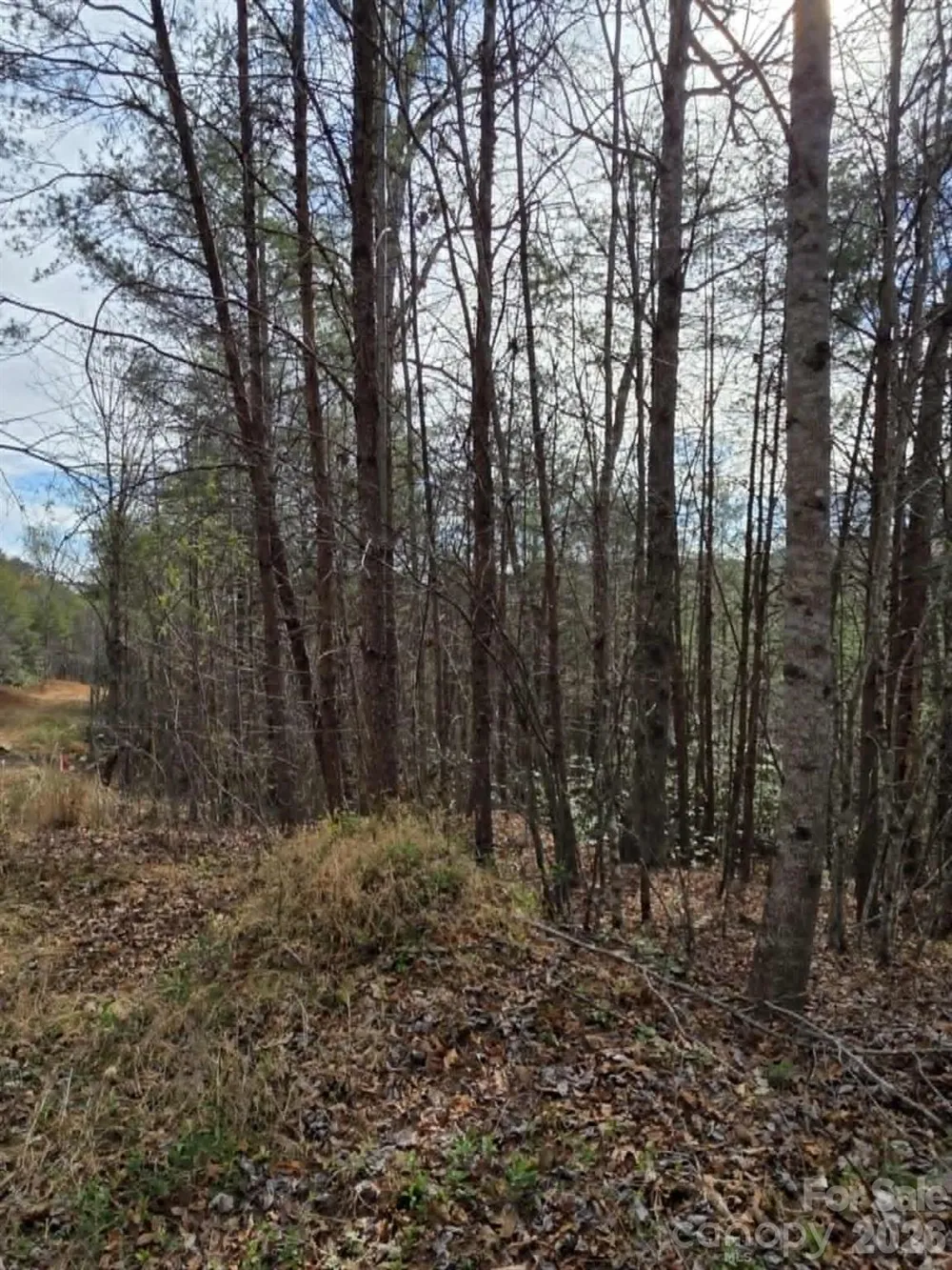 Lot 4 Kerlee Lane Old Fort, NC 28762