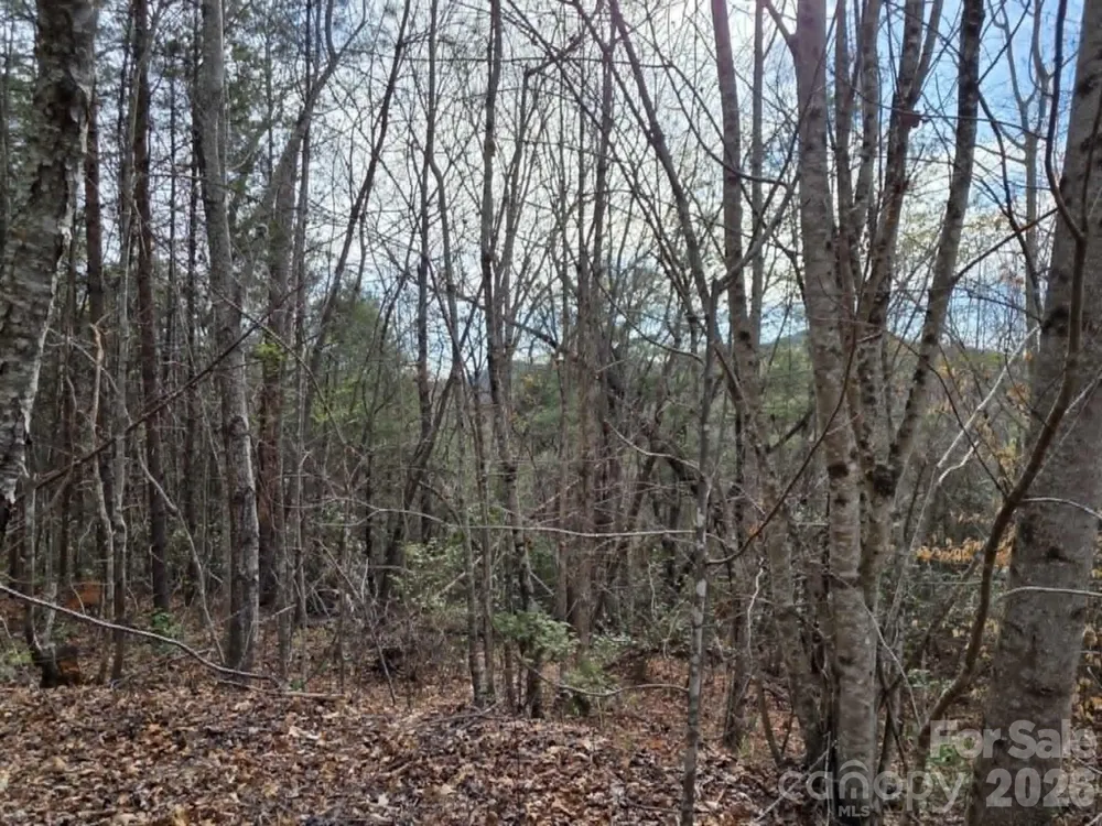 Lot 4 Kerlee Lane Old Fort, NC 28762