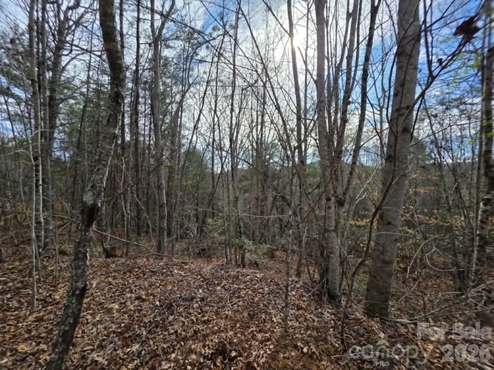 Lot 4 Kerlee Lane Old Fort, NC 28762